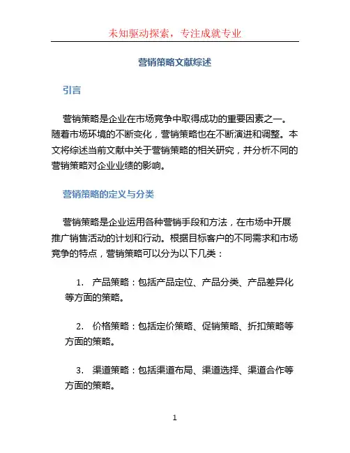 营销策略文献综述