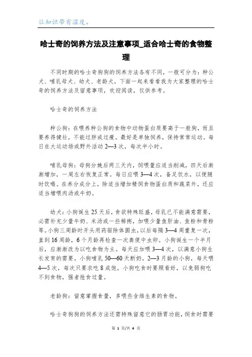 哈士奇的饲养方法及注意事项_适合哈士奇的食物整理