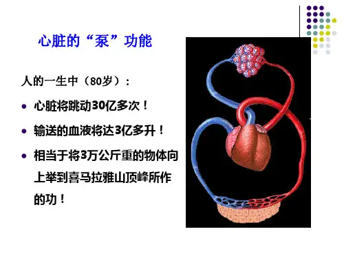 抗心衰药物