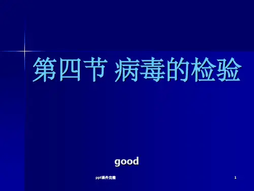 病毒学- 病毒的检验ppt课件