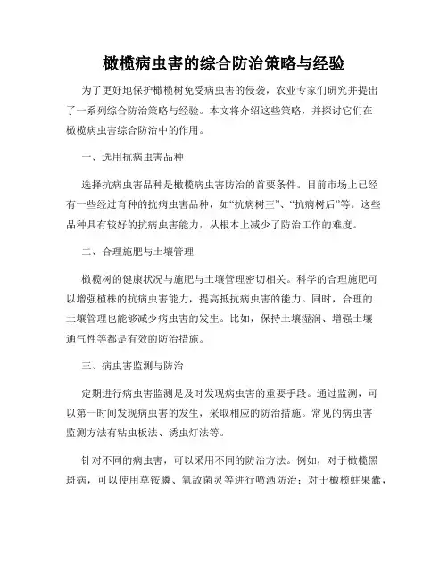 橄榄病虫害的综合防治策略与经验