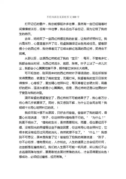 不经风雨怎见彩虹作文800字_小学五年级写景作文_