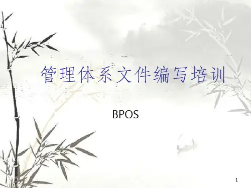 管理体系文件编写培训课件(PPT 67页)