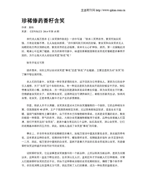 珍稀傣药香籽含笑