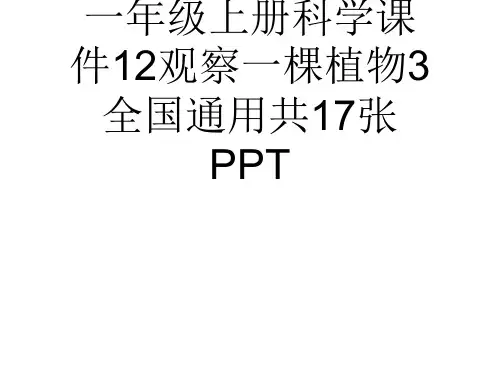 (完整)一级上册科学课件观察一棵植物全国通用共张PPT精品PPT资料精品PPT资料