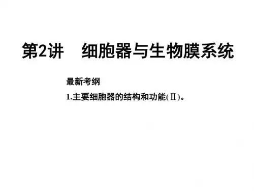 高考生物 一轮复习 细胞器的种类及作用