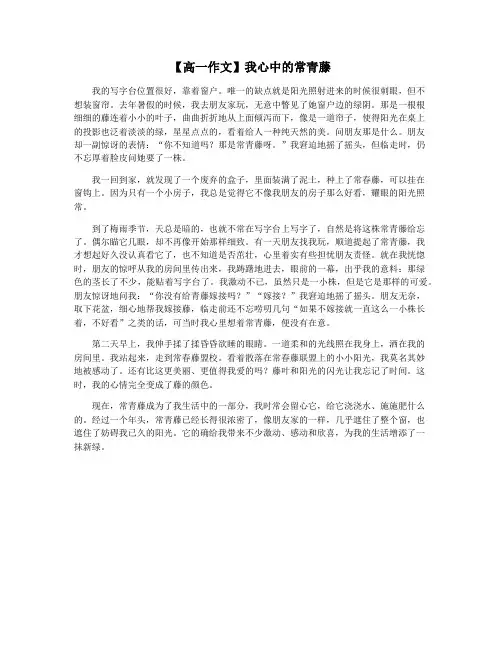 【高一作文】我心中的常青藤