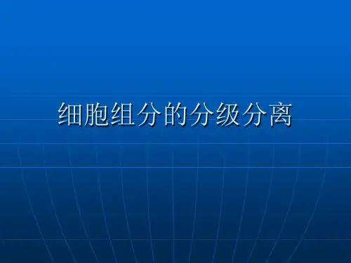 细胞组分的分级分离
