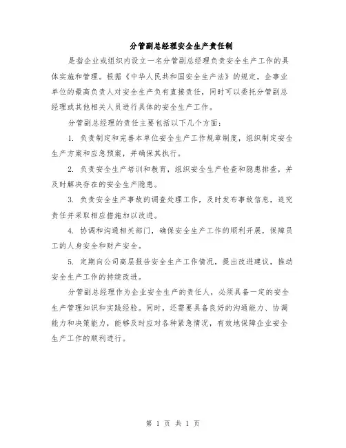 分管副总经理安全生产责任制