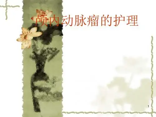 颅内动脉瘤的护理ppt课件