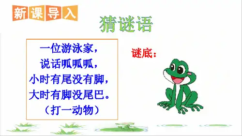 部编版二年级语文上册第一单元第1课《小蝌蚪找妈妈》课件(附练习)