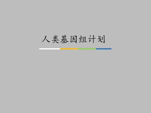中图版高中生物必修2：遗传与进化人类基因组计划