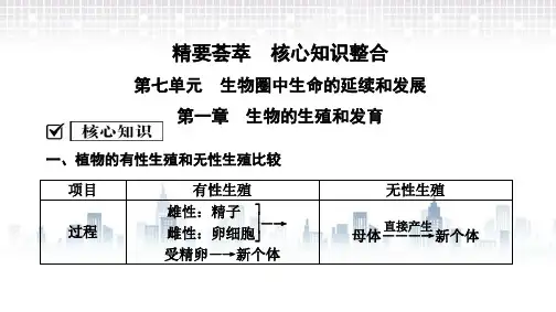 人教版八年级生物下册课件：全册精要荟萃 核心知识整合复习课件