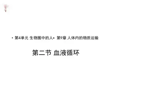 七年级下册生物课件-4.9.2《血液循环》课件 北师大版