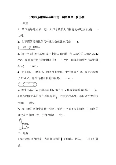 北师大版数学六年级下册 期中测试(提优卷)(含答案)
