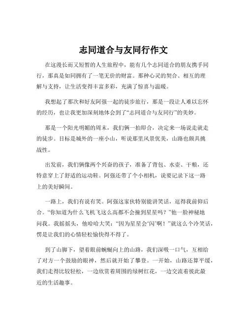 志同道合与友同行作文