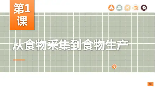 第1课   从食物采集到食物生产 -高二历史课件(选择性必修2)