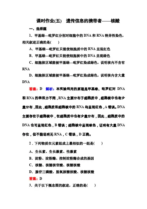 课时作业5 遗传信息的携带者——核酸