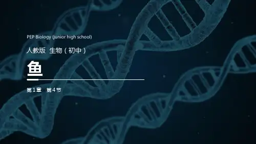 2021最新《鱼》PPT精品课件
