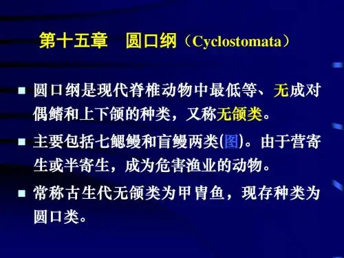 第15章圆口纲