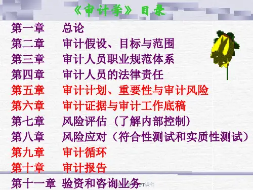 审计学第一章PPT课件课件