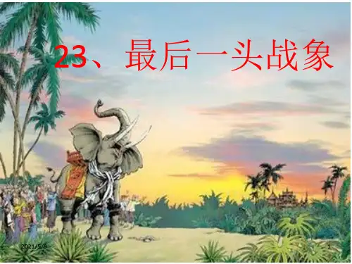 《最后一头战象》PPT课件