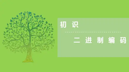 《初识二进制编码》信息技术教育教学课件PPT模板