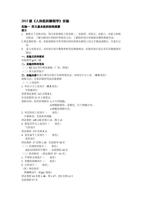 实验一四大基本组织结构观察