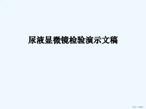 尿液显微镜检验演示文稿