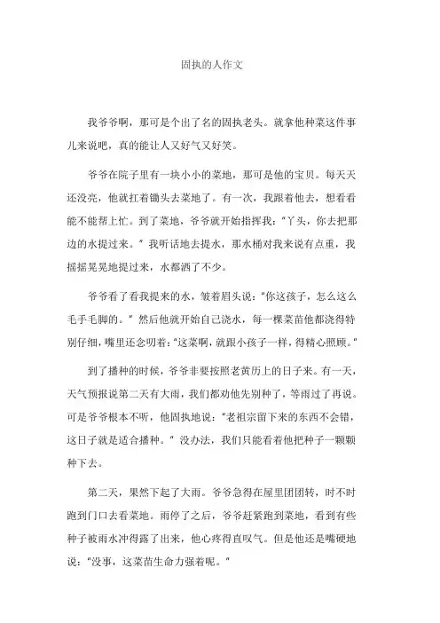 固执的人作文