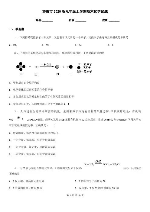 济南市2020版九年级上学期期末化学试题新版