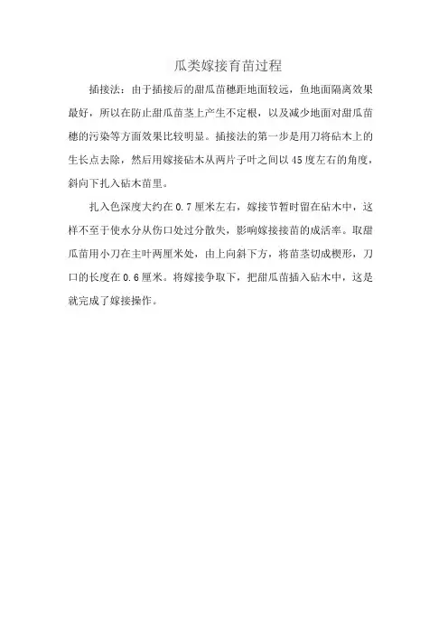 瓜类嫁接育苗过程