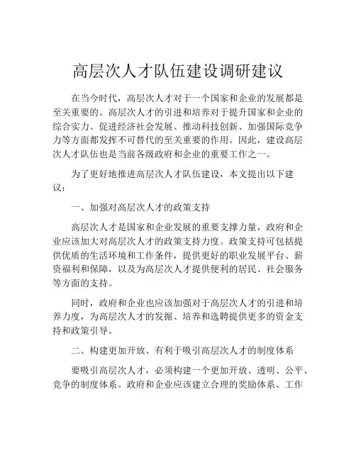 高层次人才队伍建设调研建议