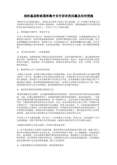 浅析基层财政国库集中支付存在的问题及应对措施