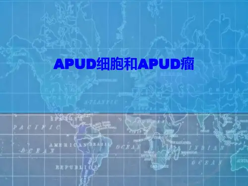 APUD细胞及APUD细胞瘤