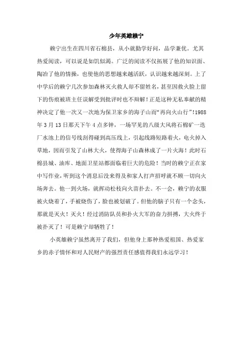少年英雄赖宁