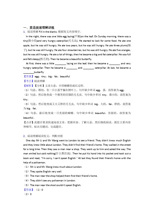 六年级南阳市小学英语 阅读理解专题练习(附答案)