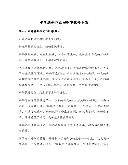 中考满分作文600字优秀6篇