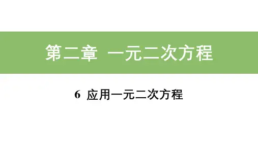 北师大版九年级数学上册_基础知识精练课件：6_第2课时_一元二次方程在实际问题中的应用二