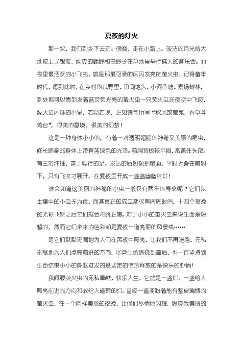 五年级作文：夏夜的灯火作文600字