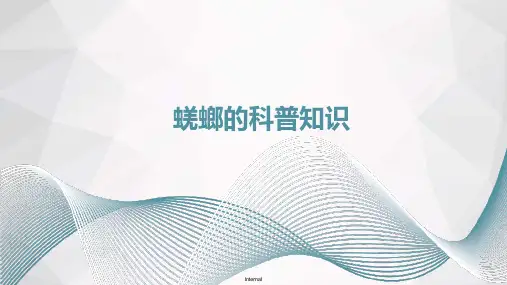 蜣螂的科普介绍