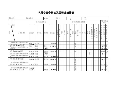 农民专业合作社发展情况统计表2EXCEL模板
