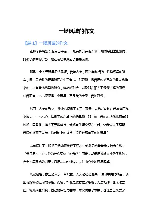 一场风波的作文