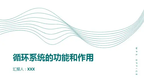 什么是循环系统？它在生物体中有哪些功能？