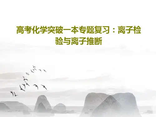 高考化学突破一本专题复习：离子检验与离子推断共47页