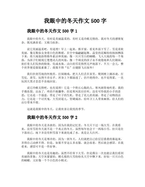 我眼中的冬天作文500字