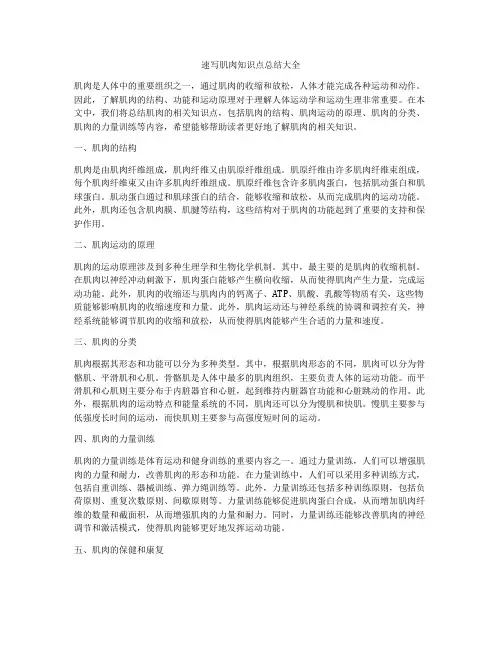 速写肌肉知识点总结大全