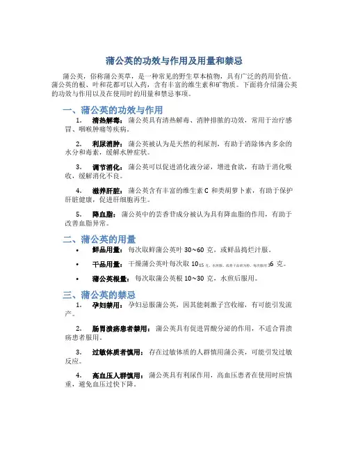 蒲公英的功效与作用及用量和禁忌