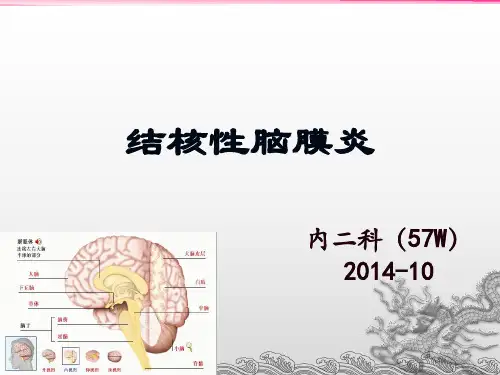 结核性脑膜炎护理查房
