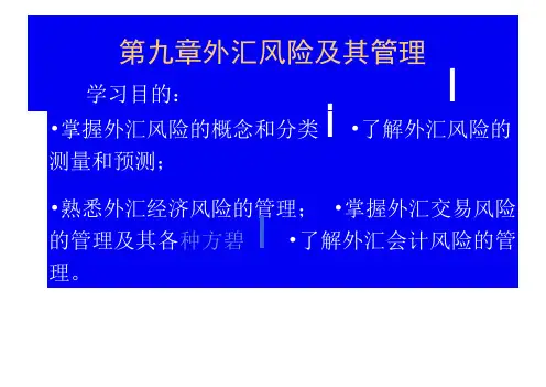 外汇风险及其管理